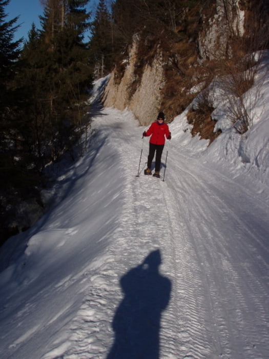 Col Toront-creste Faverghera (Belluno)