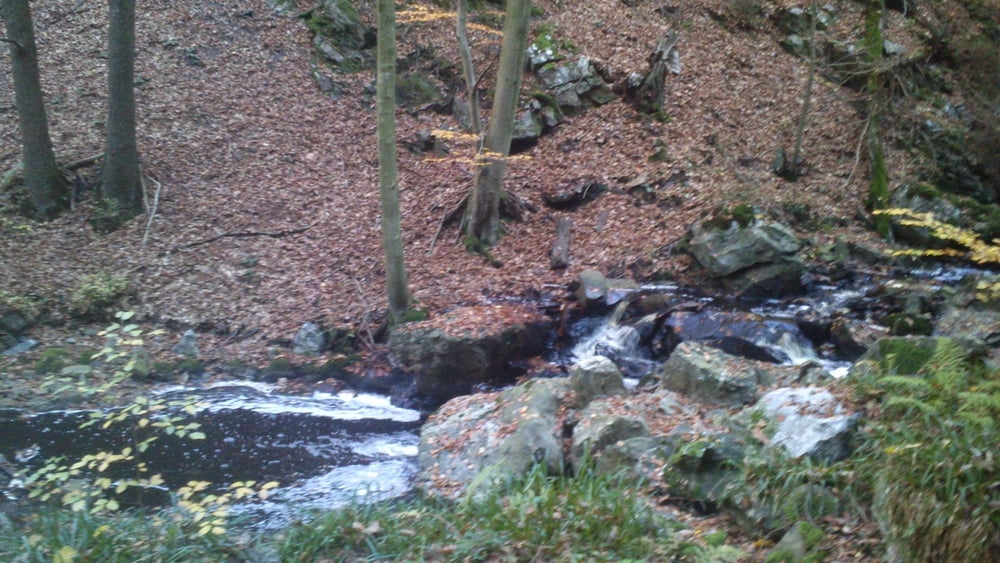 Sawe & Statte Trails