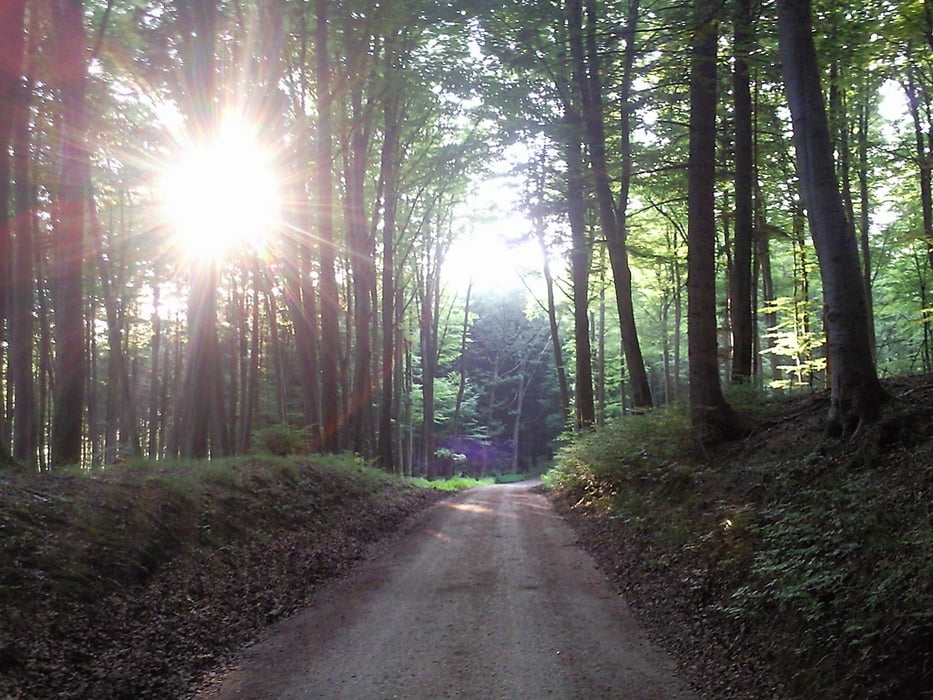 Wäldertour um Sulzbach