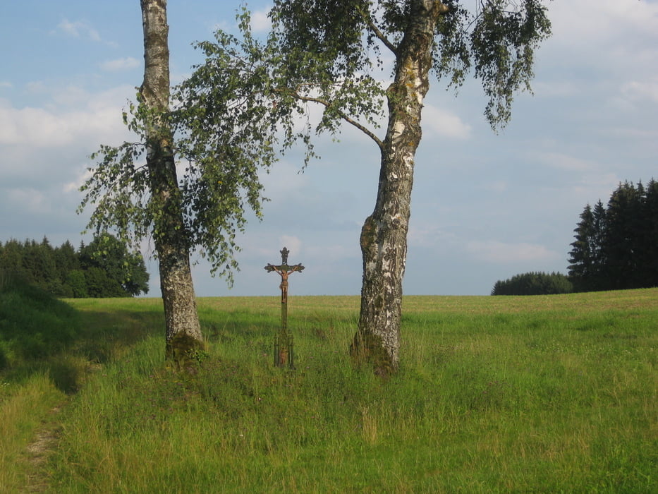 kurze Panoramarunde