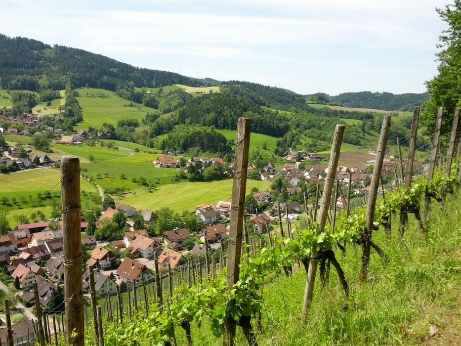 St.Peter - Glottertal - WildtälerEck - Attental - Ibental - St.Peter