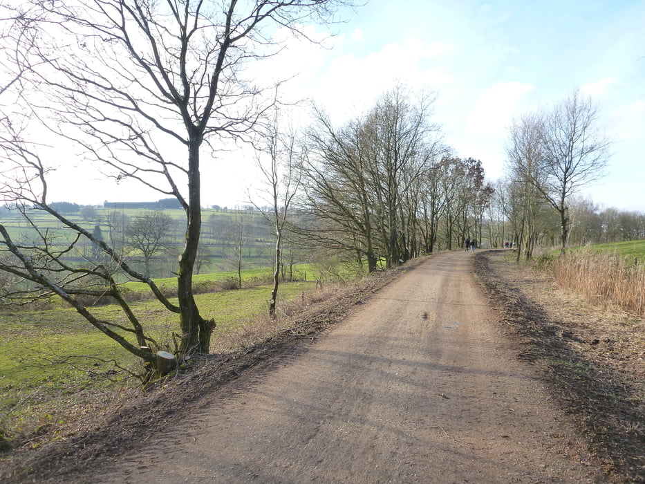Waimes-Steinbach: mooie wandeling 4km geringe stijging