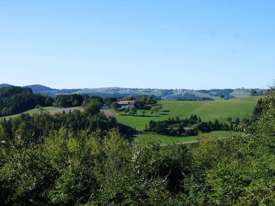 Rundwanderung Sieggraben - Hackbichl - Hollerberg