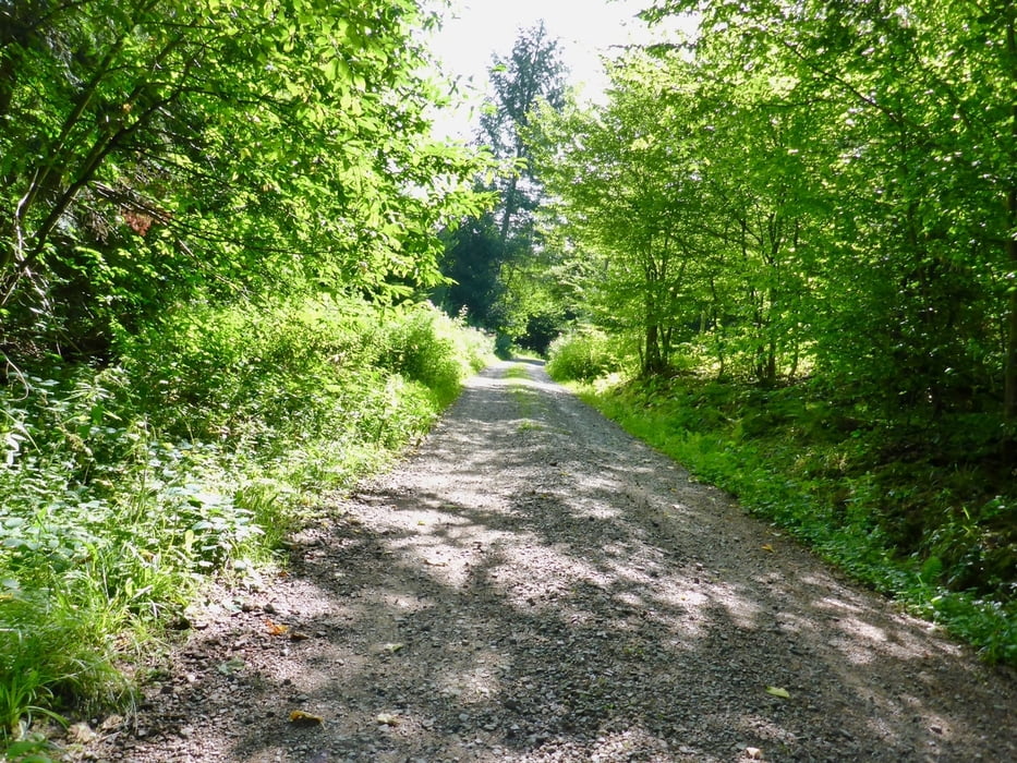 Schuttertal Runde ab Campingsplatz Seelbach