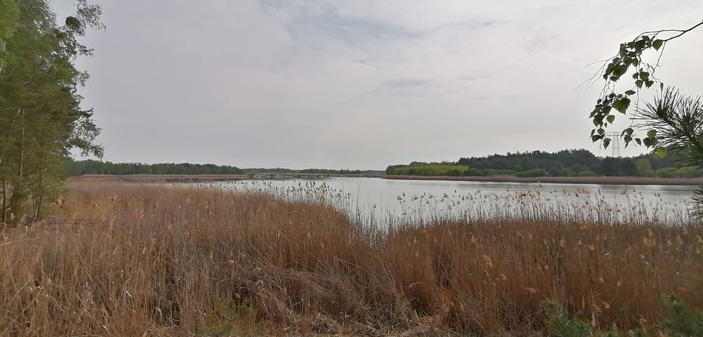 374. Hohenbocka, Lausitz, rund um Bergbau Restloch Seen Heide Vi & V + Berg Jungfernstein 
