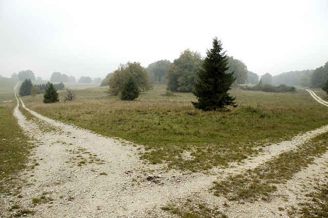 Geführte Wandertour durch den TrÜPl Münsingen