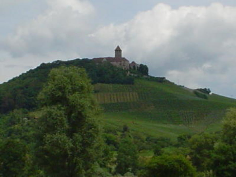 Murr-zur Burg Lichtenberg-Krugeiche-Murr