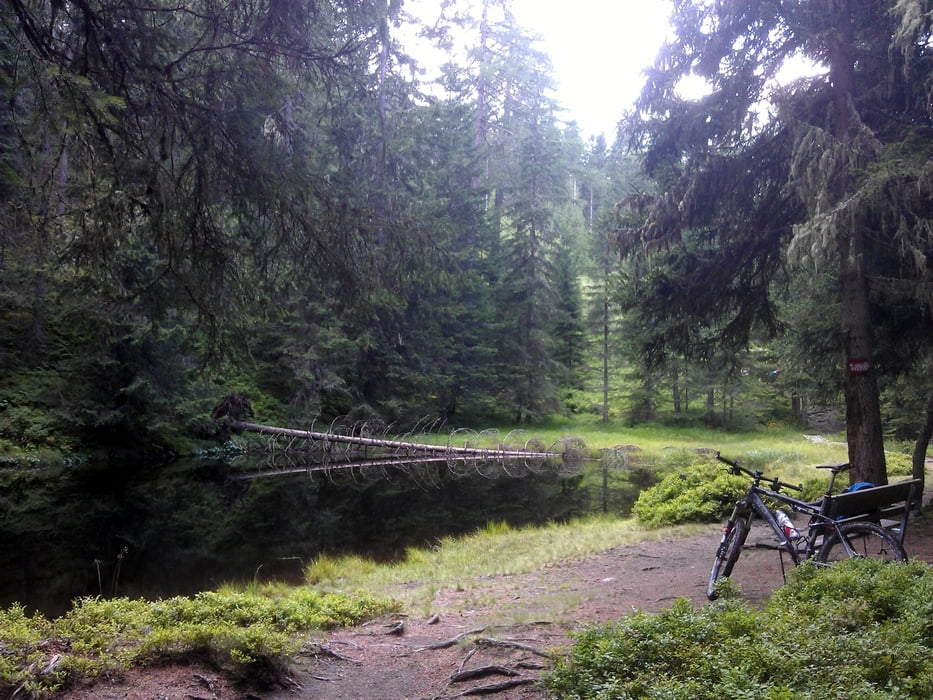 Drei(Vier)Almentour mit Singletrailoptionen