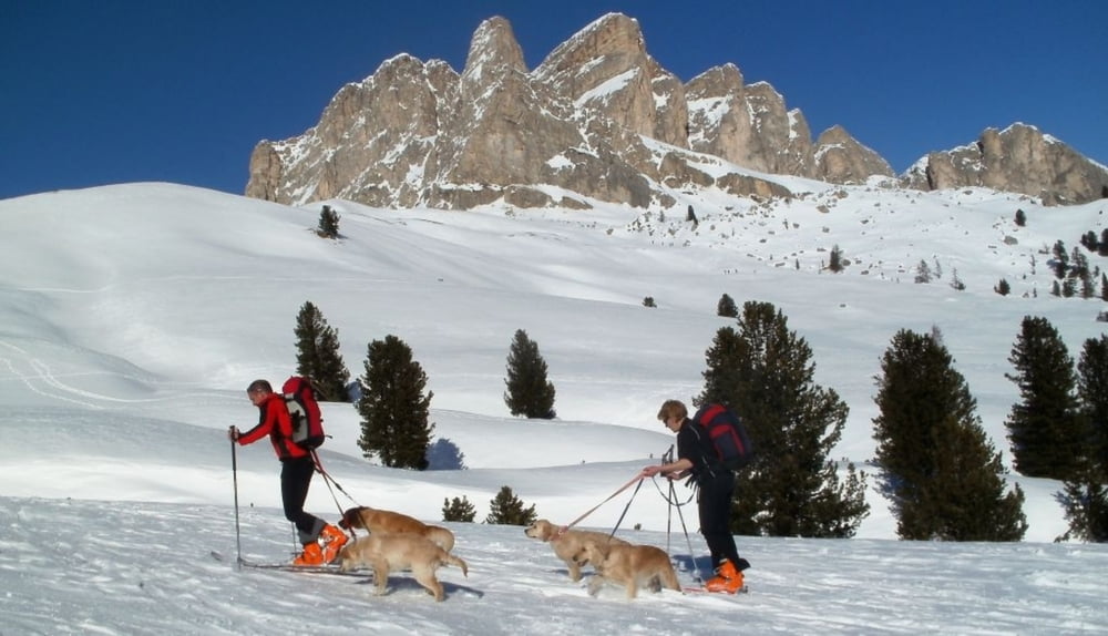 Passo Sief da Andraz ( Dolomiti - Falzarego) 