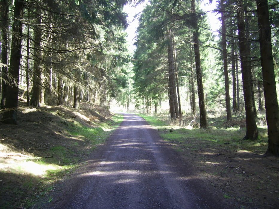 Ludweiler Wildgehege -Warndtweiher-Differten