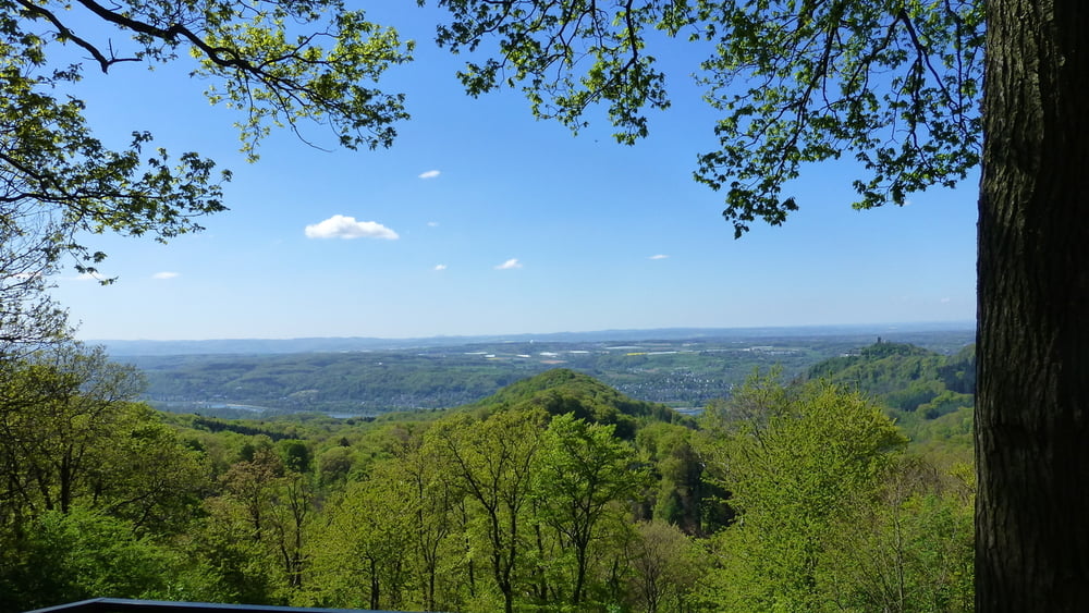 140416 Siebengebirge - Burgen und Berge - Drachenfels und Löwenburg