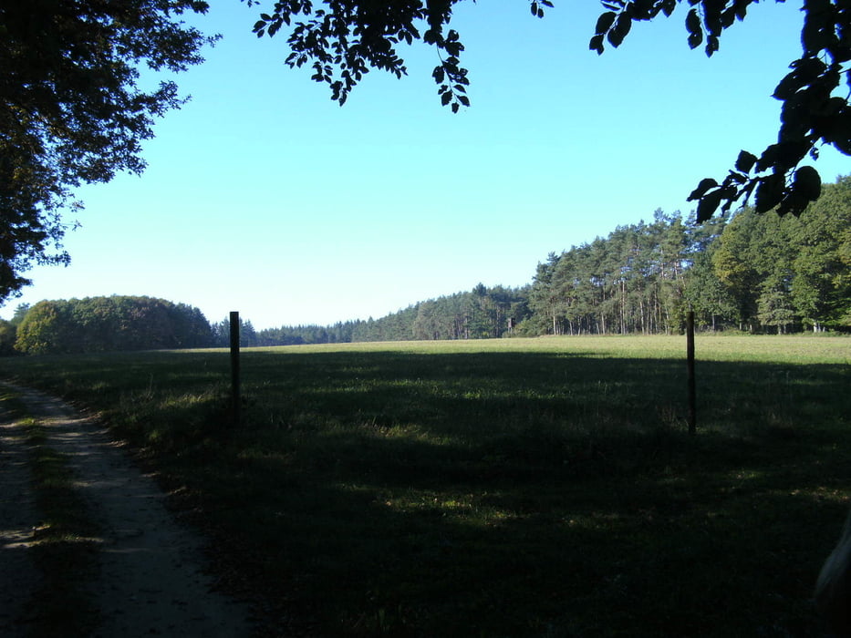 Zu den Kelten der Eifel