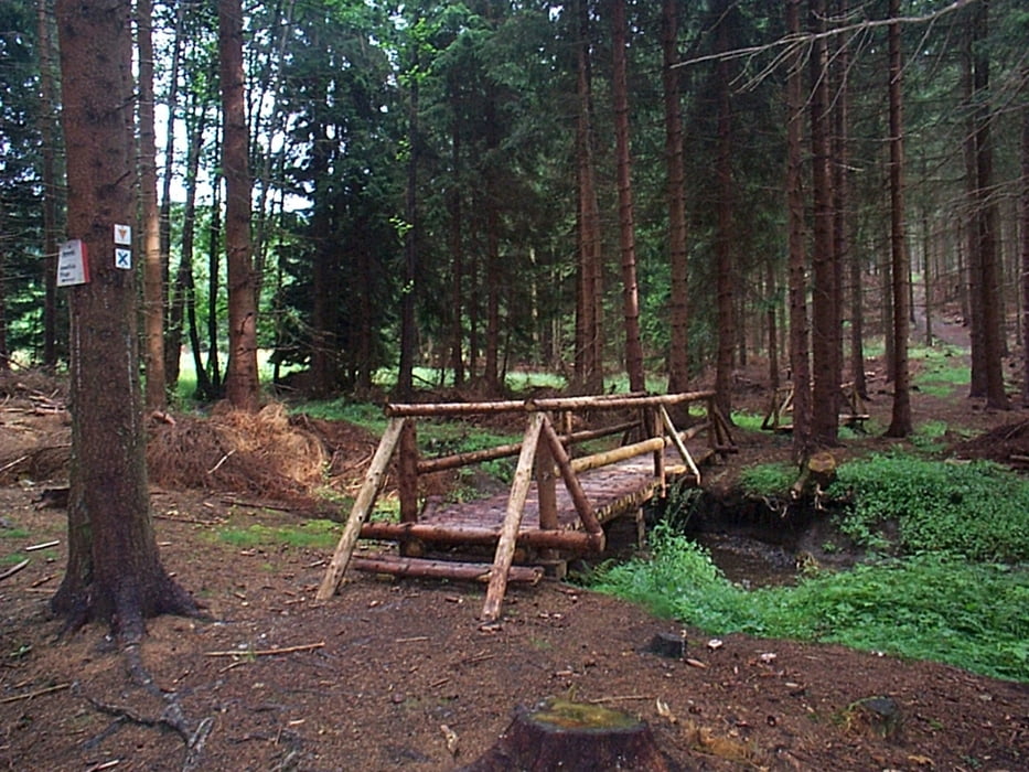 Trautenstein zum Sophienhof