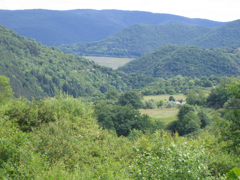 Vischeltal und Steinbachtalsperre