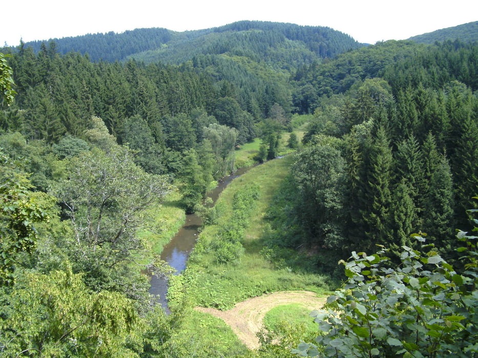 Manderscheid-Lieserpfad-Eckfeld