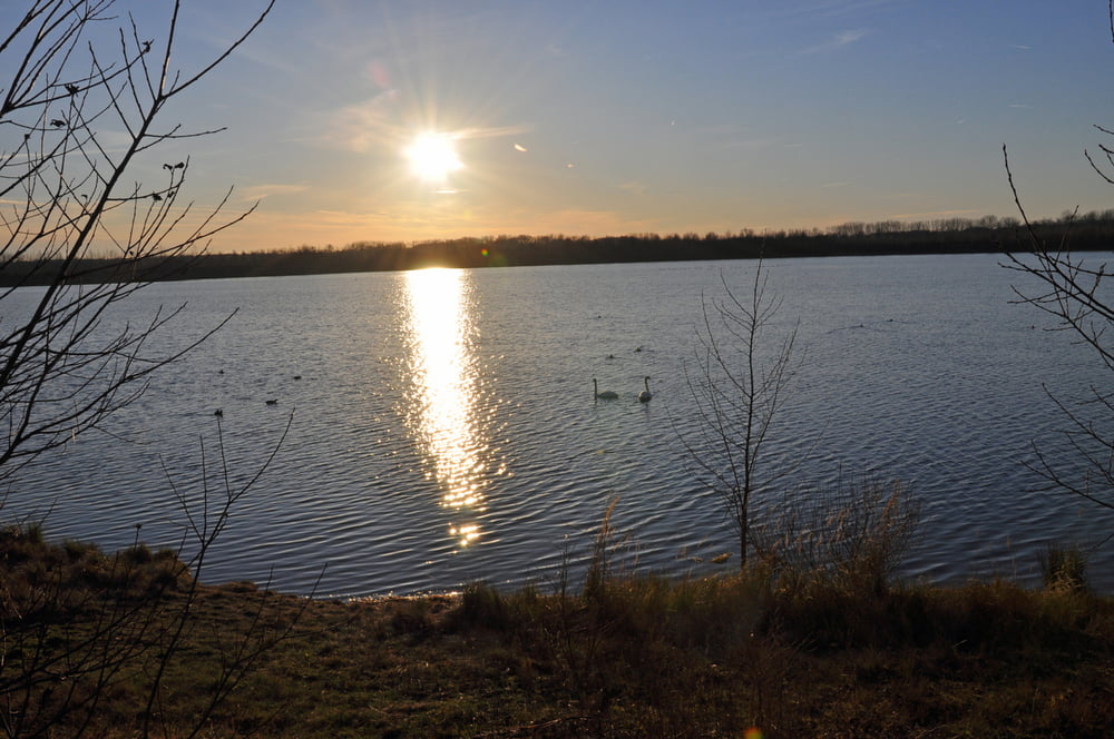 Boisdorfer See