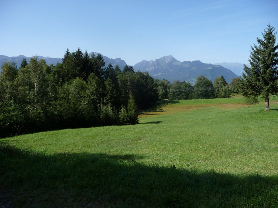 Dünserberg Trail