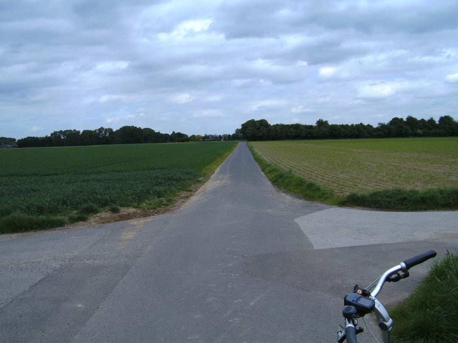 durch den Meerbusch