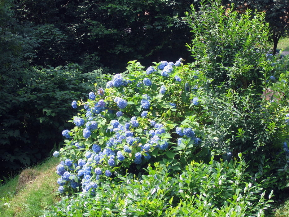Breitenbrunnen Grimmerswald Hagelloch Markteich und zurück