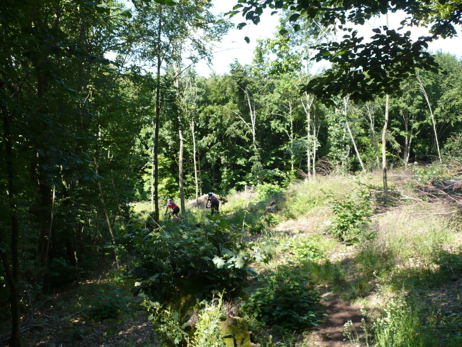 Gräfenberg-Dr. Georg Kanzler Weg-Leutenb.-Kolmreuth-Hetzelsd.-Wannbach-Egloffstein-Thuisbr.-Gräfenb viel Trail
