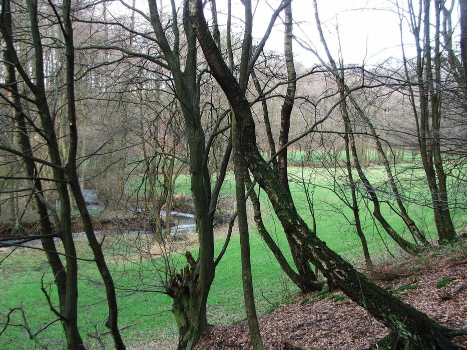 Ruhrgebiet: Elfringhauser Schweiz (2)