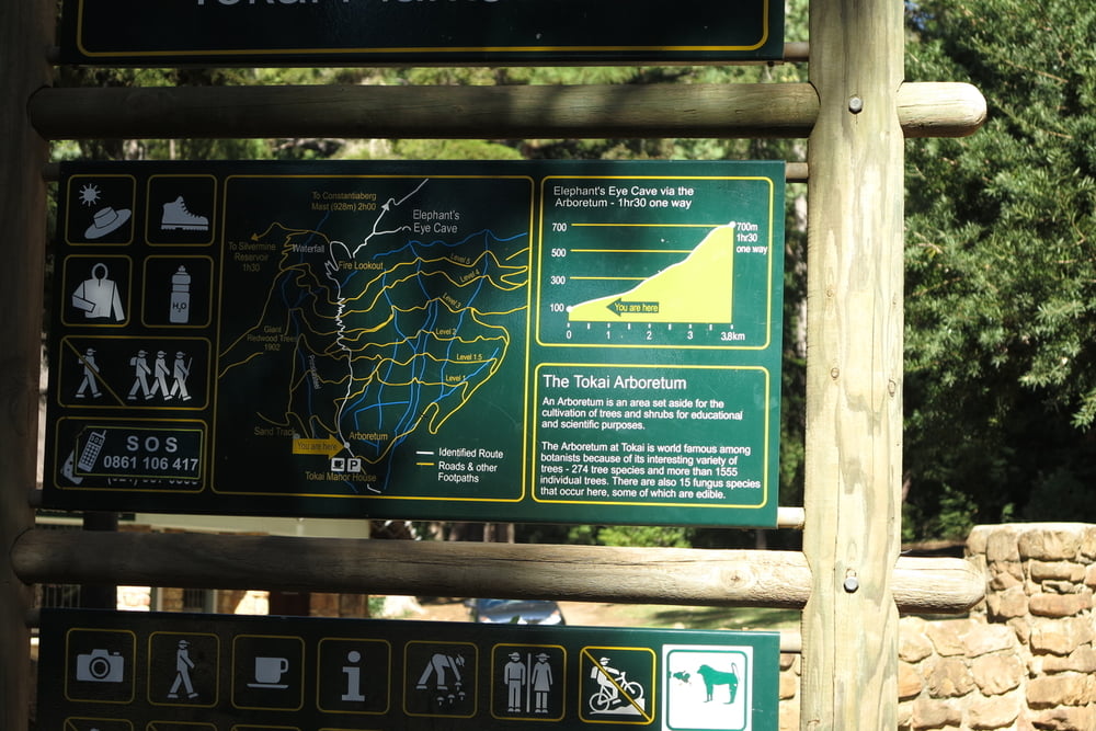Tokai Forrest Trails