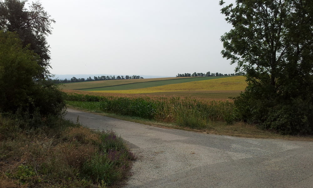 Rauchenwarth