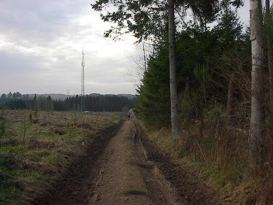 La Roche variante VTT 3
