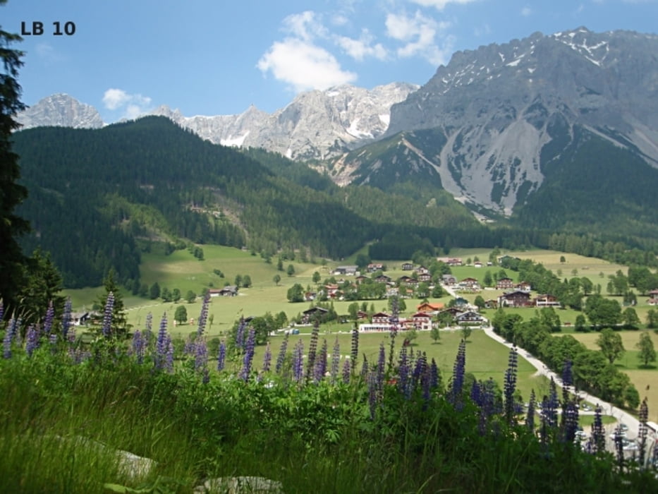 Sommerrodelbahn Ramsau am Dachstein