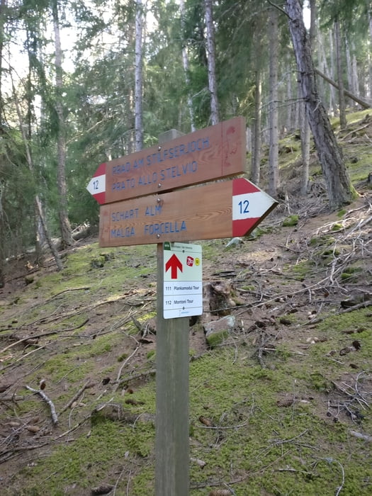 Plankamoudi-Trail
