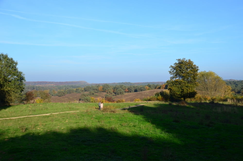 Brunssummer Heide