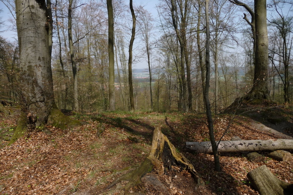 Veitenstein