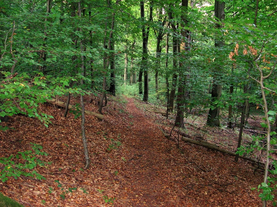 Fürweiler - Nordgau Runde