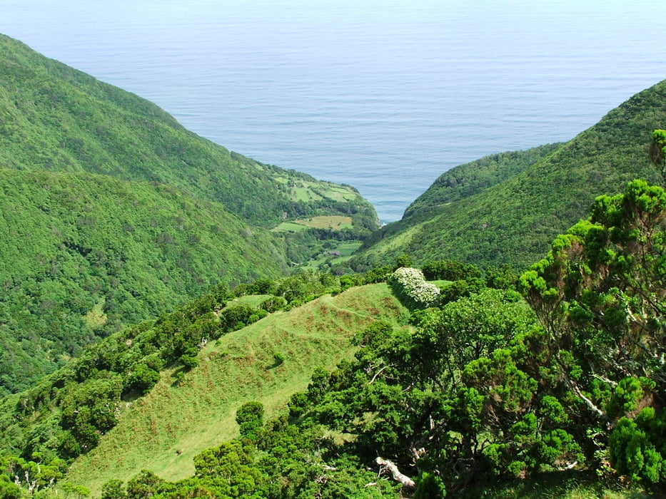 São Jorge: Nordküste