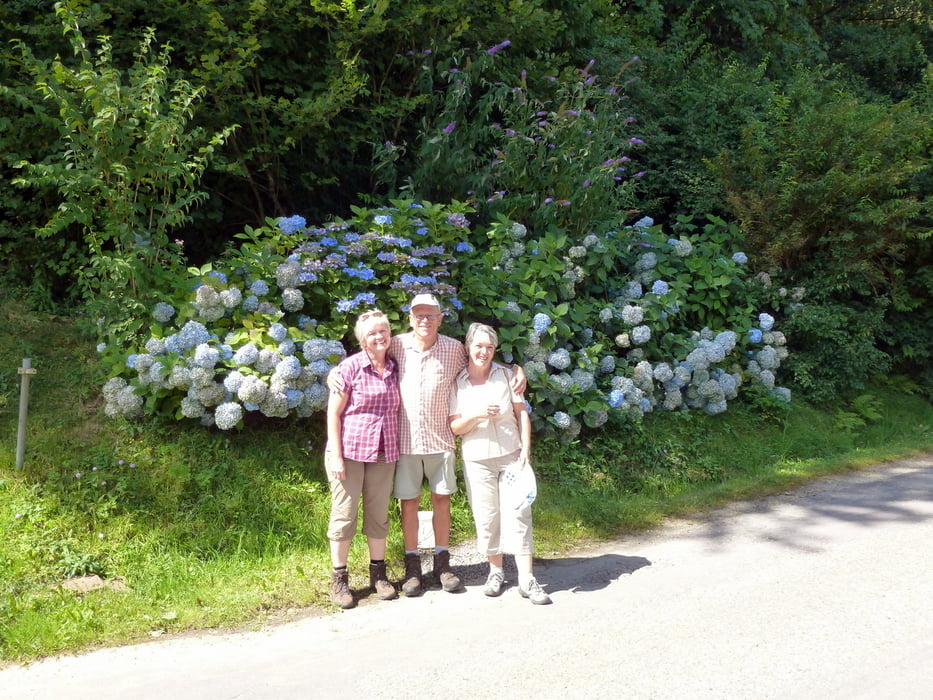 Bosenstein Blöchereck Ottenhöfen Edelfrauenwasserfälle Karlsruhergrat
