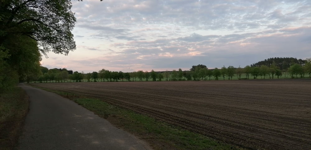 372. Hohenbocka, Oberere Spreewald Lausitz, Spaziergang zum Aussichtsturm