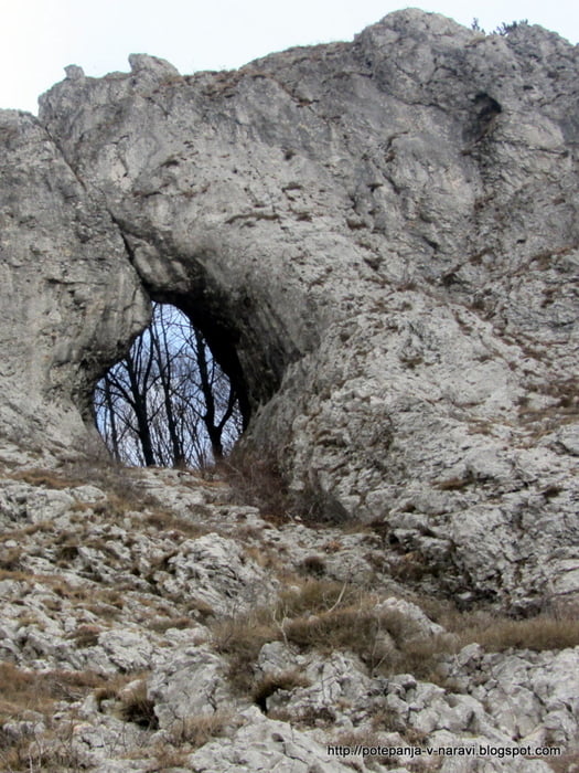 Sinji vrh