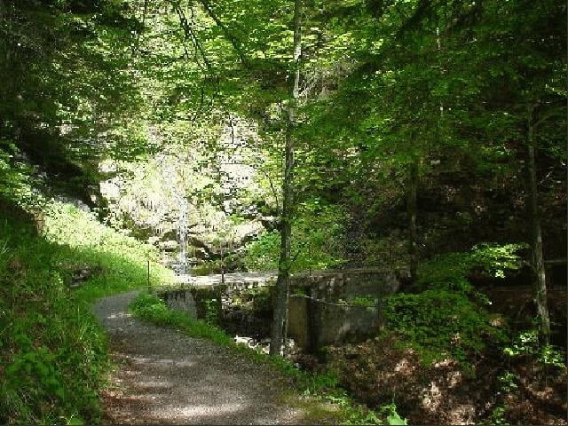 Büren-Niederrickenbach