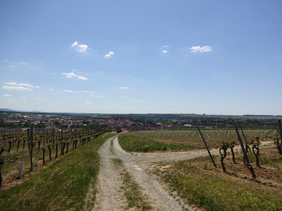 Von Volkach nach Zeilitzheim