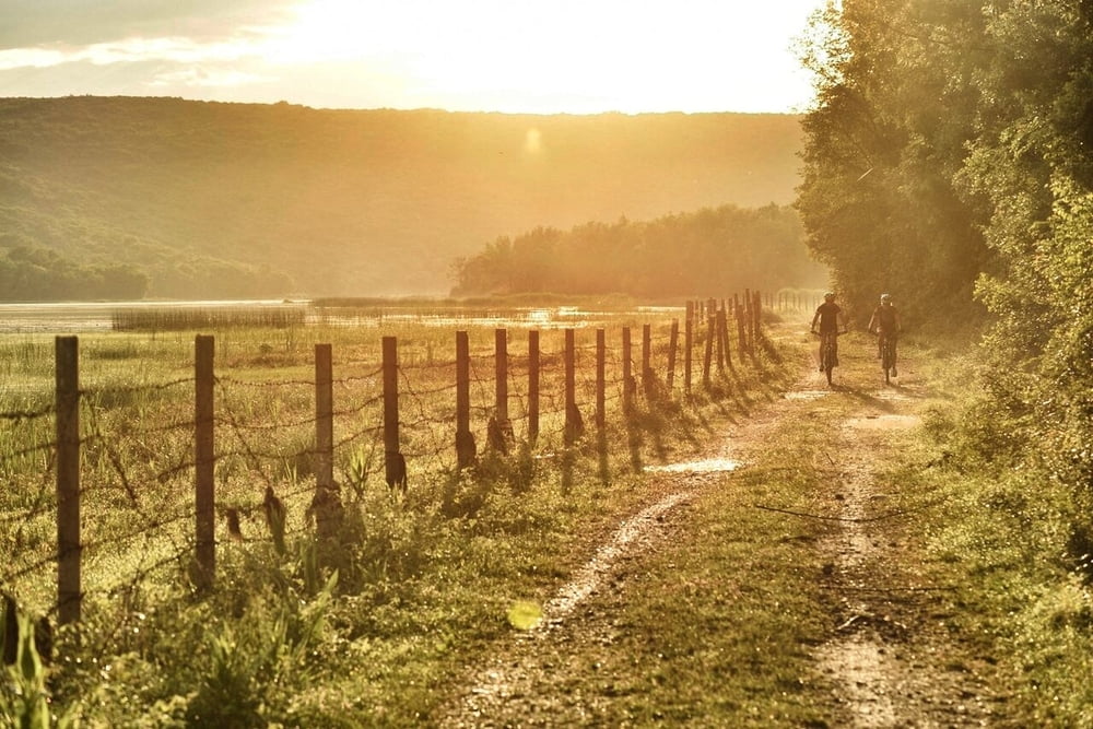 MTB NJIVICE no.5
