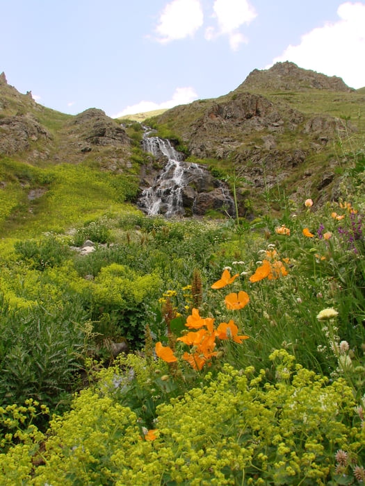 Tagestour 1 Olgunlar Dobe Yayla