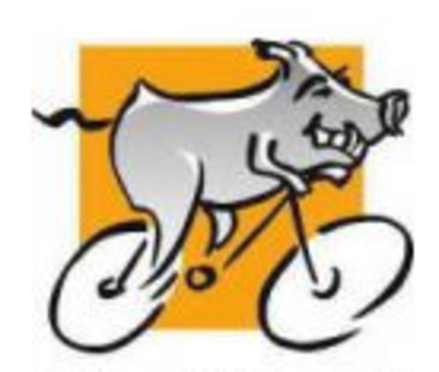 Singletrails im Warndt