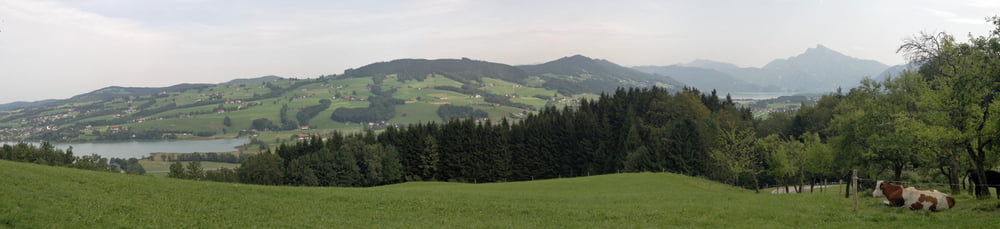 Kolomansberg