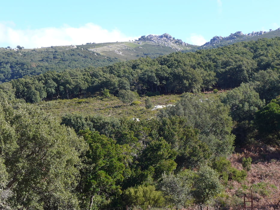 Andalusien: Los Alcornocales 1