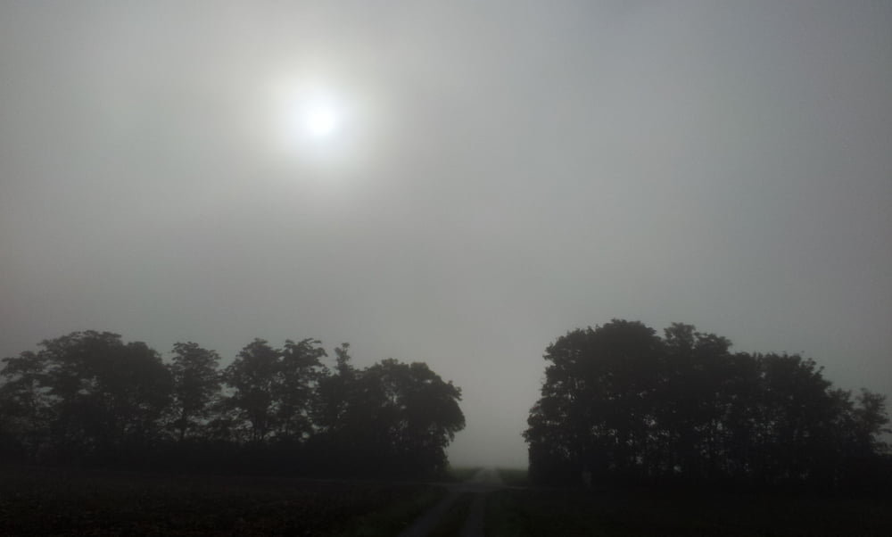 Geissbühelstrecke