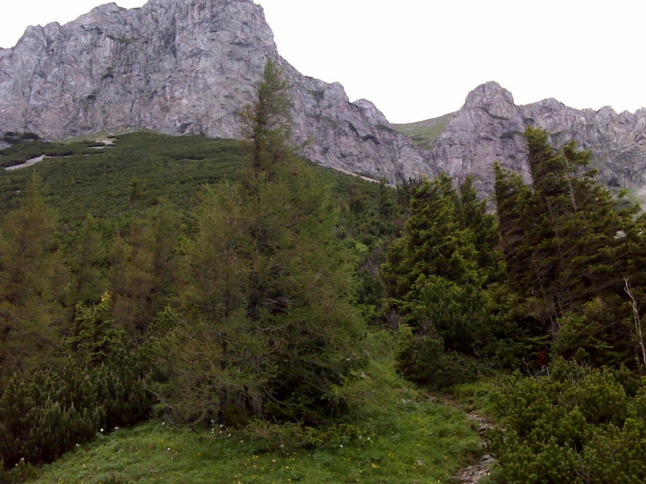 Heukuppe po nasom