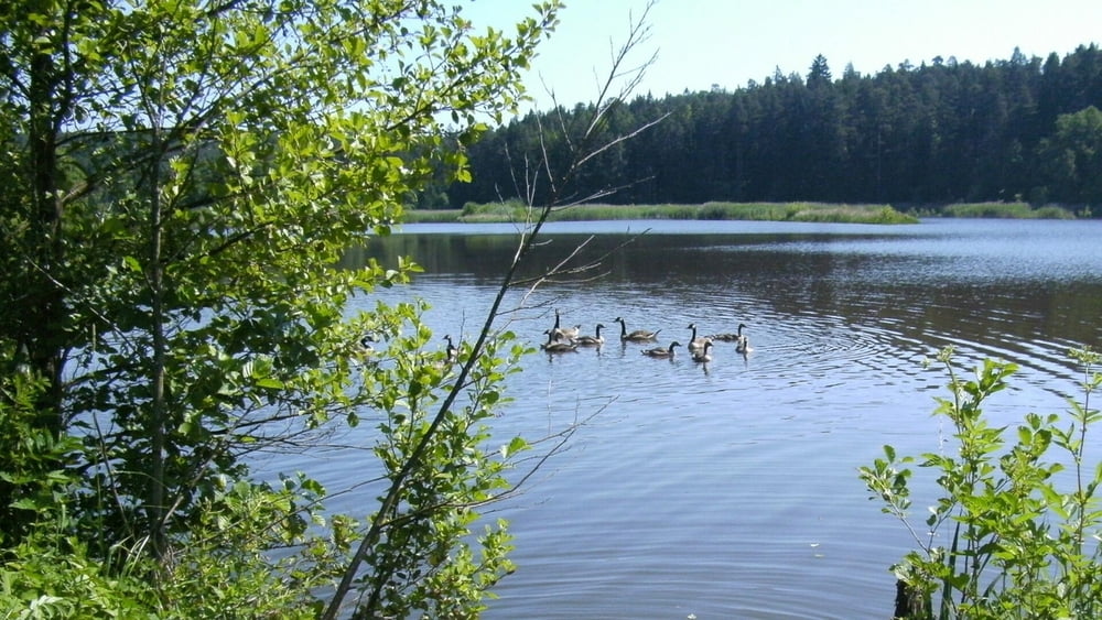 Wandern Franken:Veldensteiner Forst,Weiher Tour