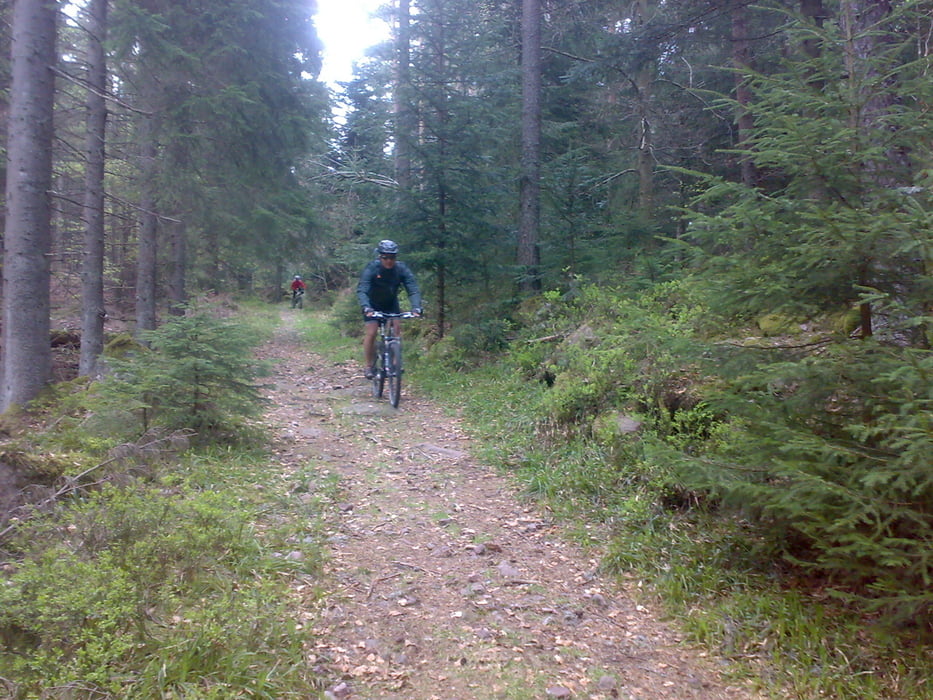 Wochenendtour durch den Nordschwarzwald