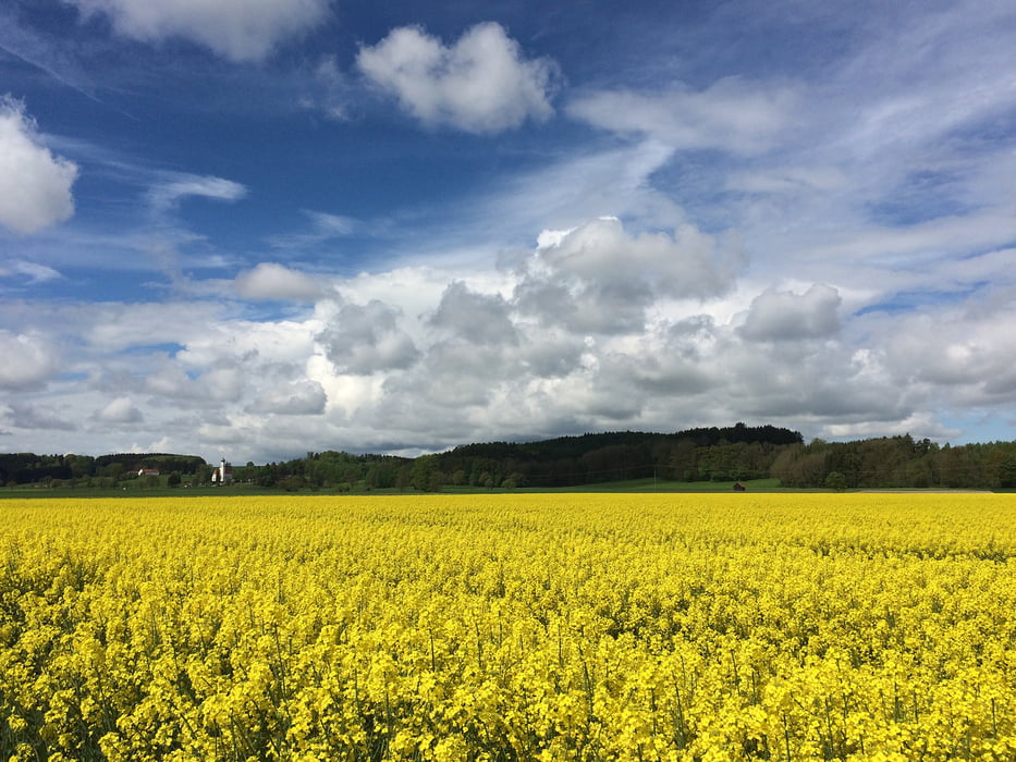 Von Kaufering am Rand der Stauden Richtung Mindelheim
