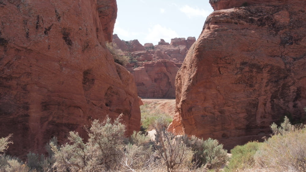 Buckskin Gulch-Brainrocks-Boneyard